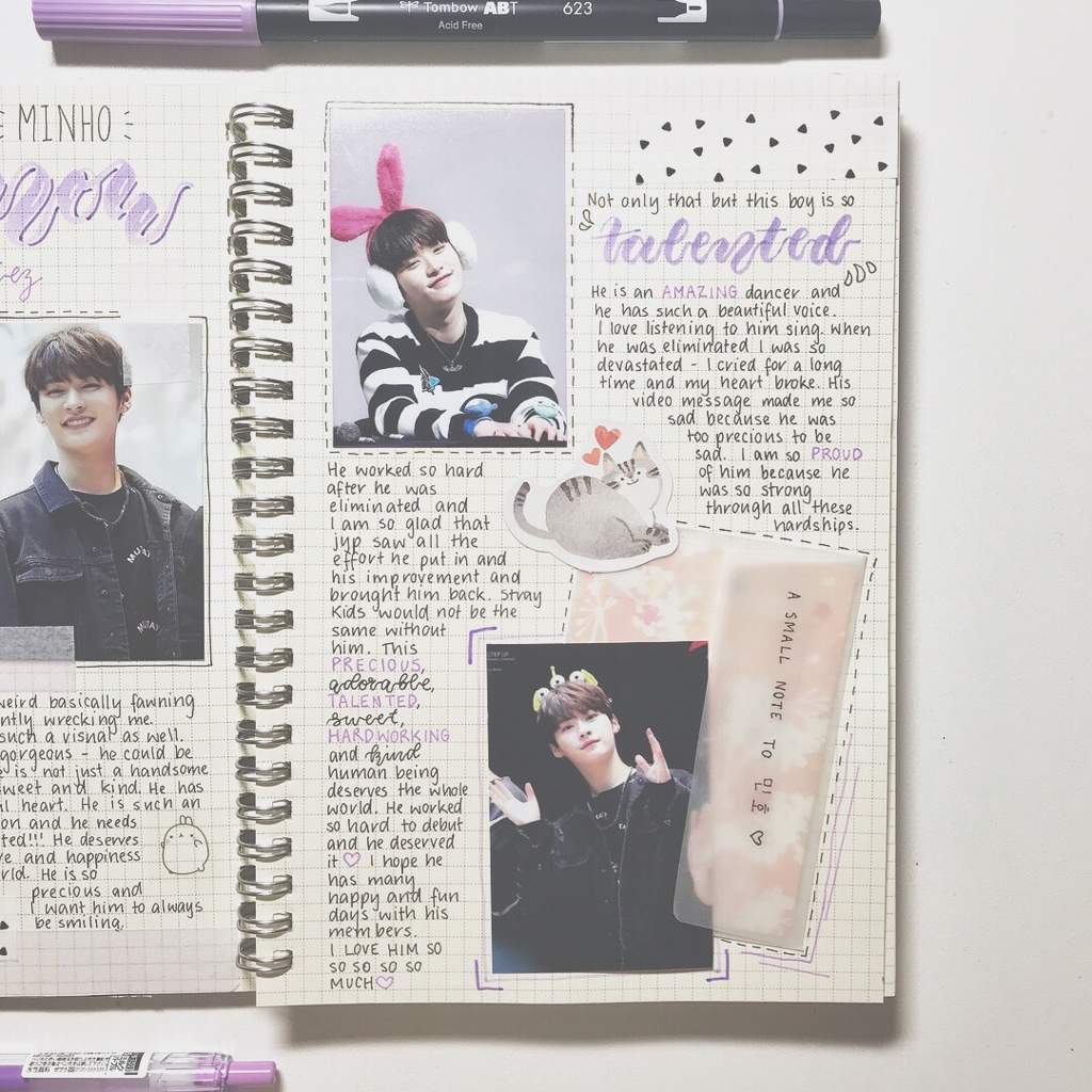 SK Journal: Minho Appreciation Spread~ | Stray Kids Amino