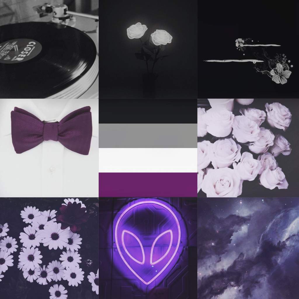 💫 Asexual Aesthetic 💫 Lgbt Amino 