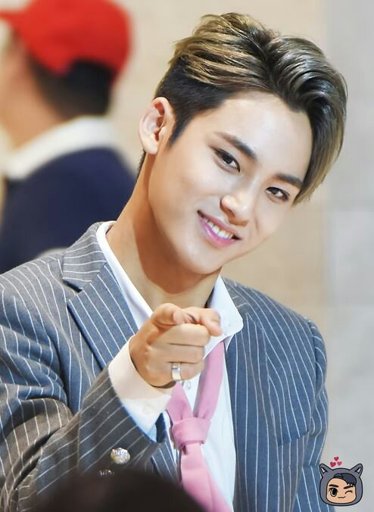 Kim Mingyu | Wiki | Seventeen Amino Amino