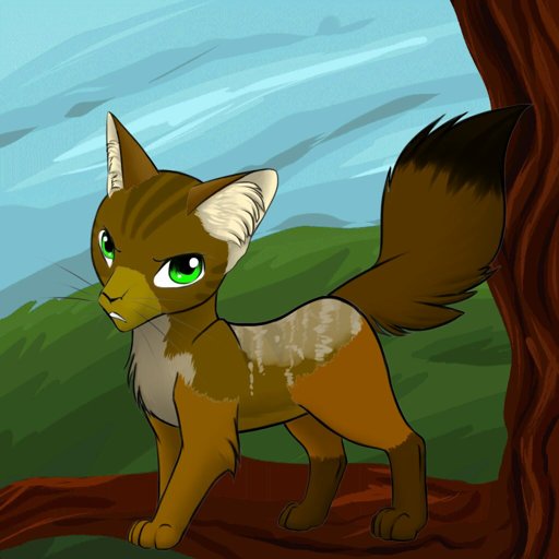 TimberClaw | Wiki | Warriors Amino