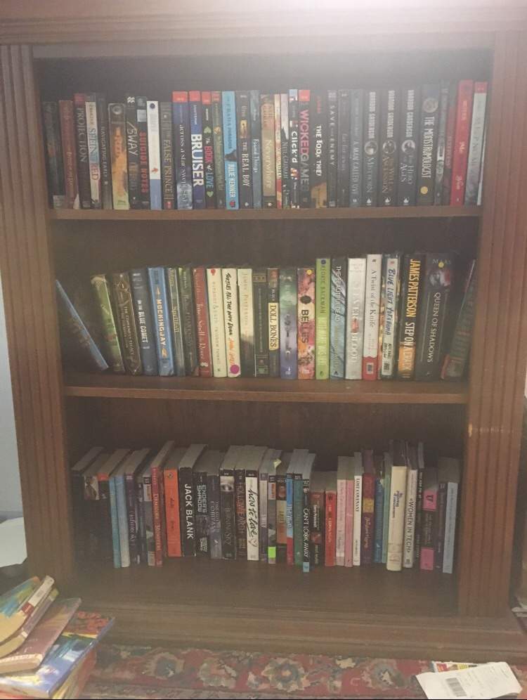 How Should I Organize My Bookshelf Books Writing Amino,Outdoor Patio Furniture For Small Spaces
