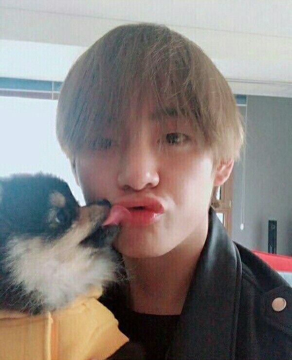 Tae talking about Yeontan😍 Kim Taehyung Amino