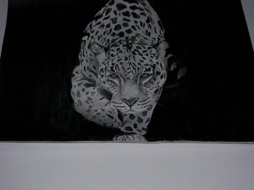 Dibujo De Un Jaguar Para Colorear Dibujos Para Colorear Imprimir