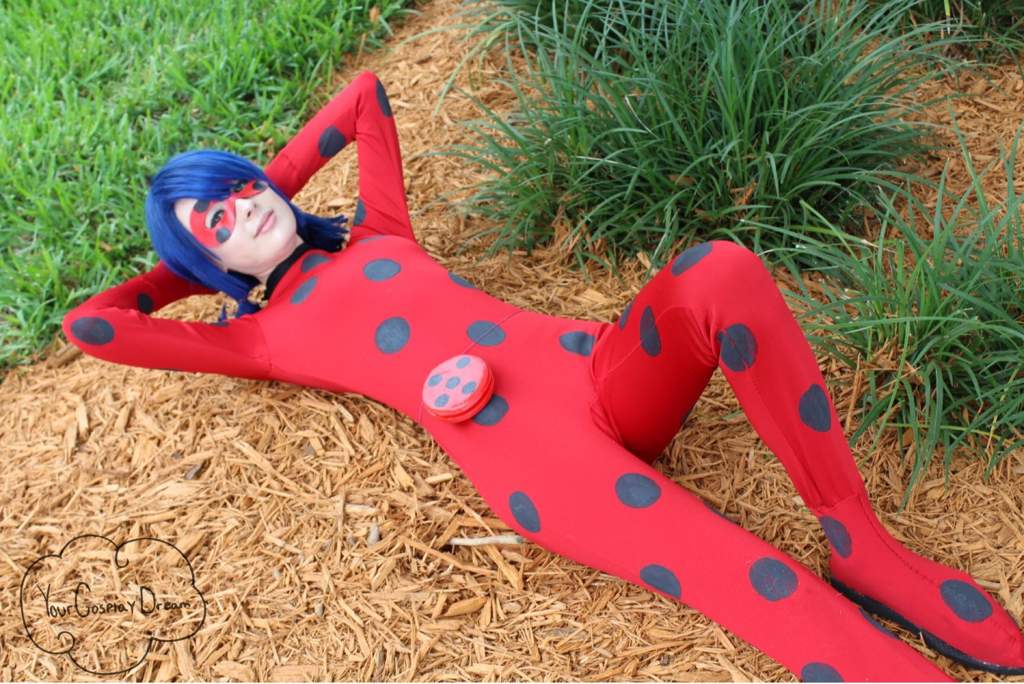 🐞ladybug🐞 Cosplay Amino 4260