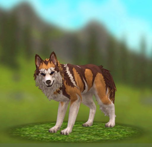 My Wolf Pack | Wiki | 🌳WildCraft🌳 Amino