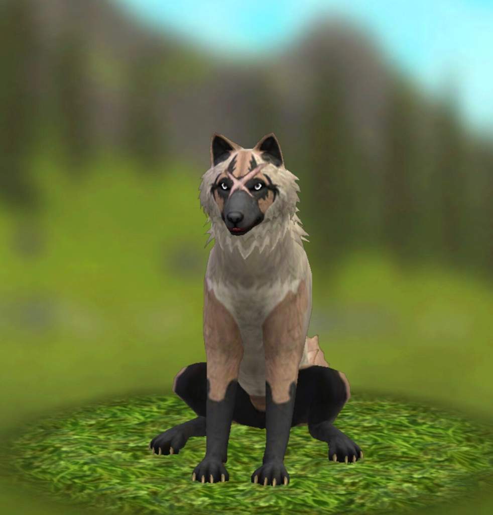 My Wolf Pack | Wiki | 🌳WildCraft🌳 Amino