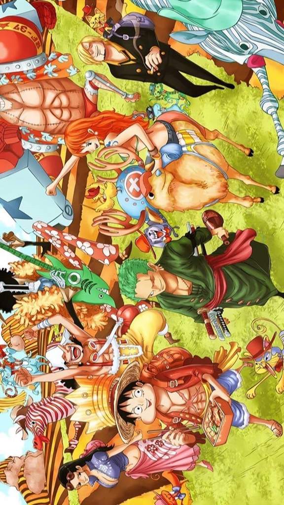 Mugiwaras | •One Piece• Amino
