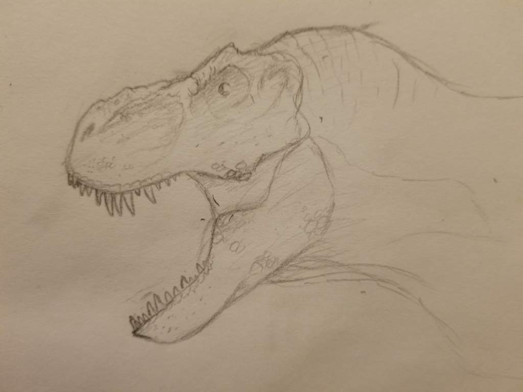 Quick Trex sketch | Jurassic Park Amino