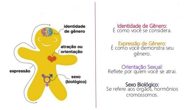 Qual A Diferença Entre Sexo Identidade De Gênero E Orientação Sexual