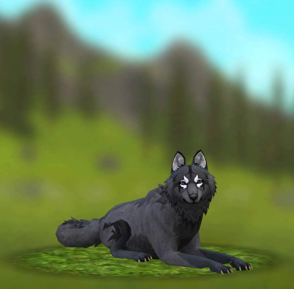 My Wolf Pack | Wiki | 🌳WildCraft🌳 Amino