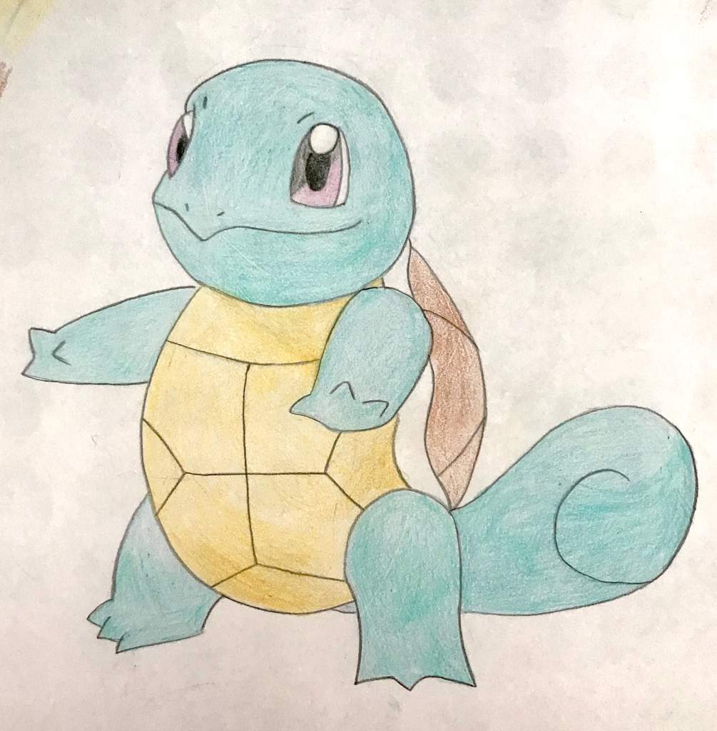 Squirtle(color pencils) | Pokémon Amino