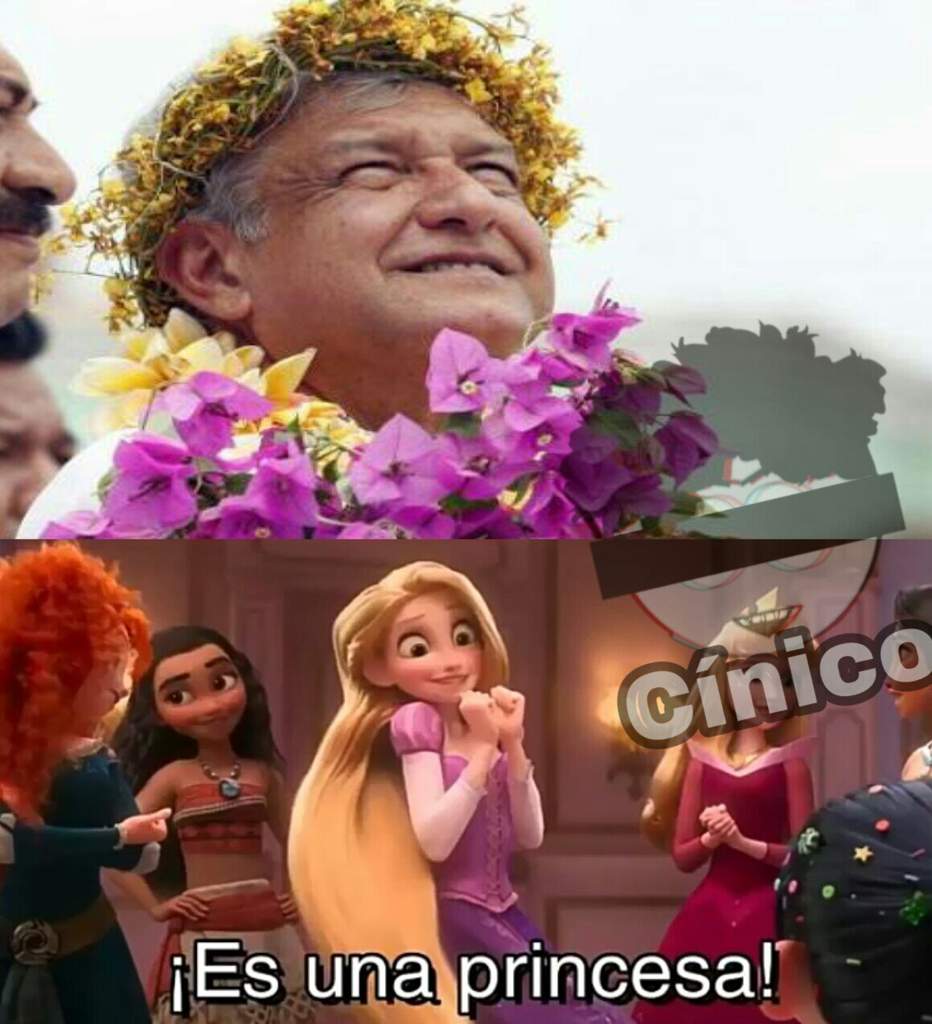 Es Una Princesa Momos By Cnico Meme Amino