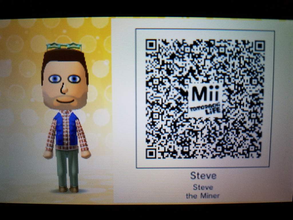 Steve and Alex from Minecraft | Tomodachi Life Amino