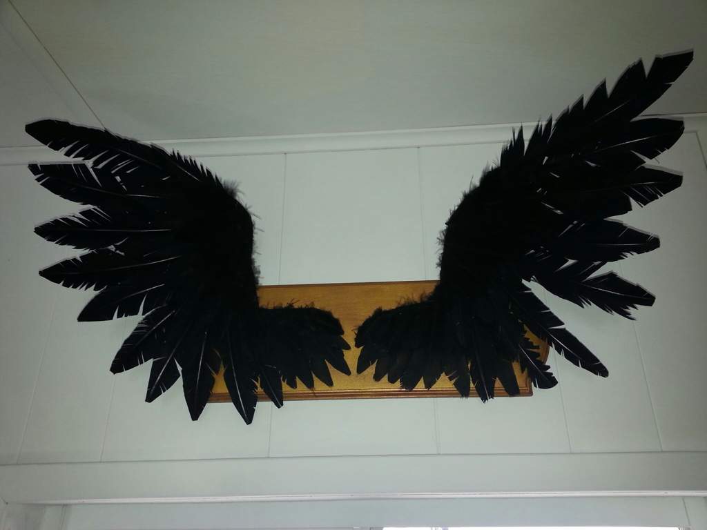 Castiel wings wall decor finished! | Supernatural Amino