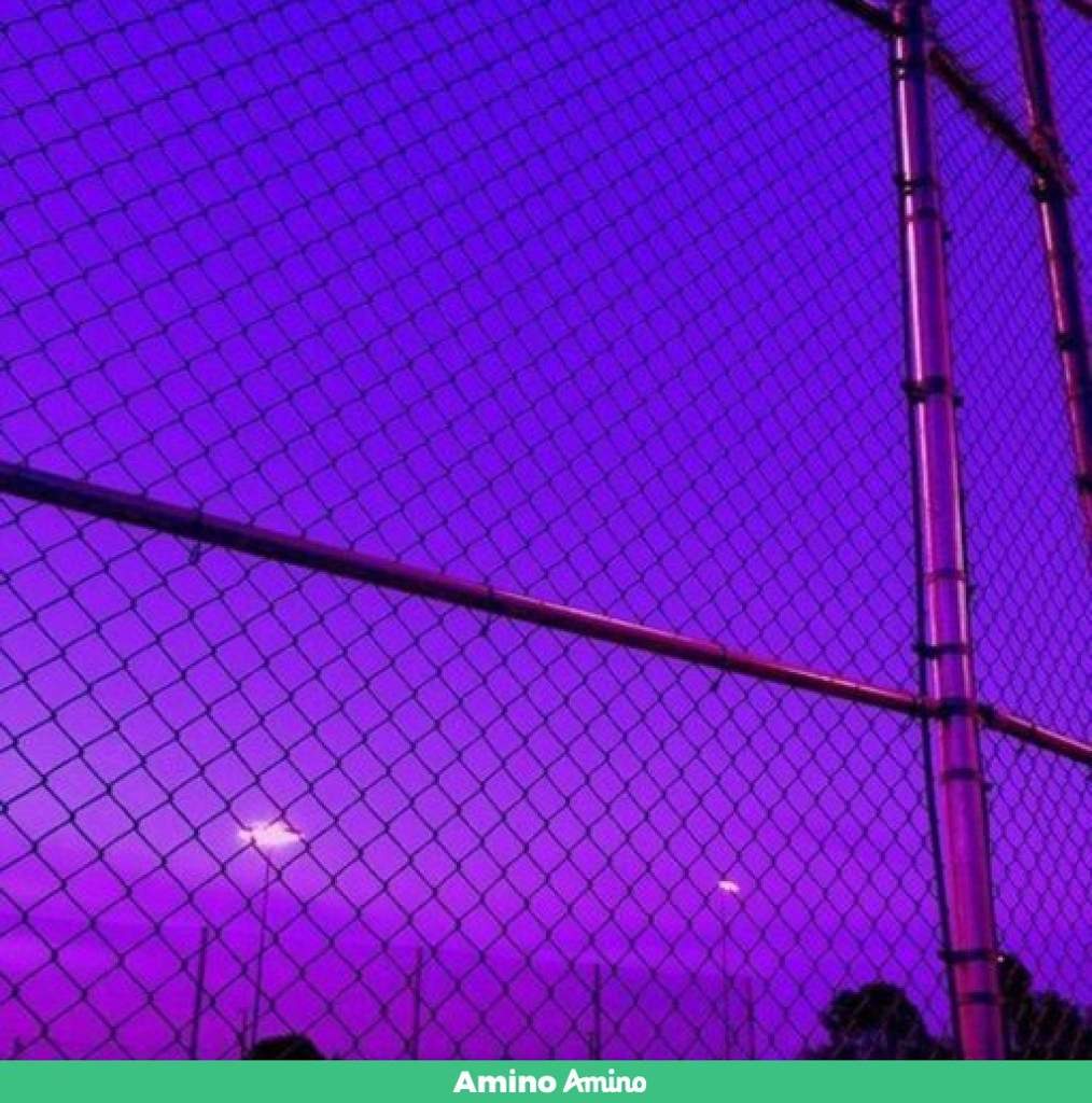 violet aesthetic tumblr
