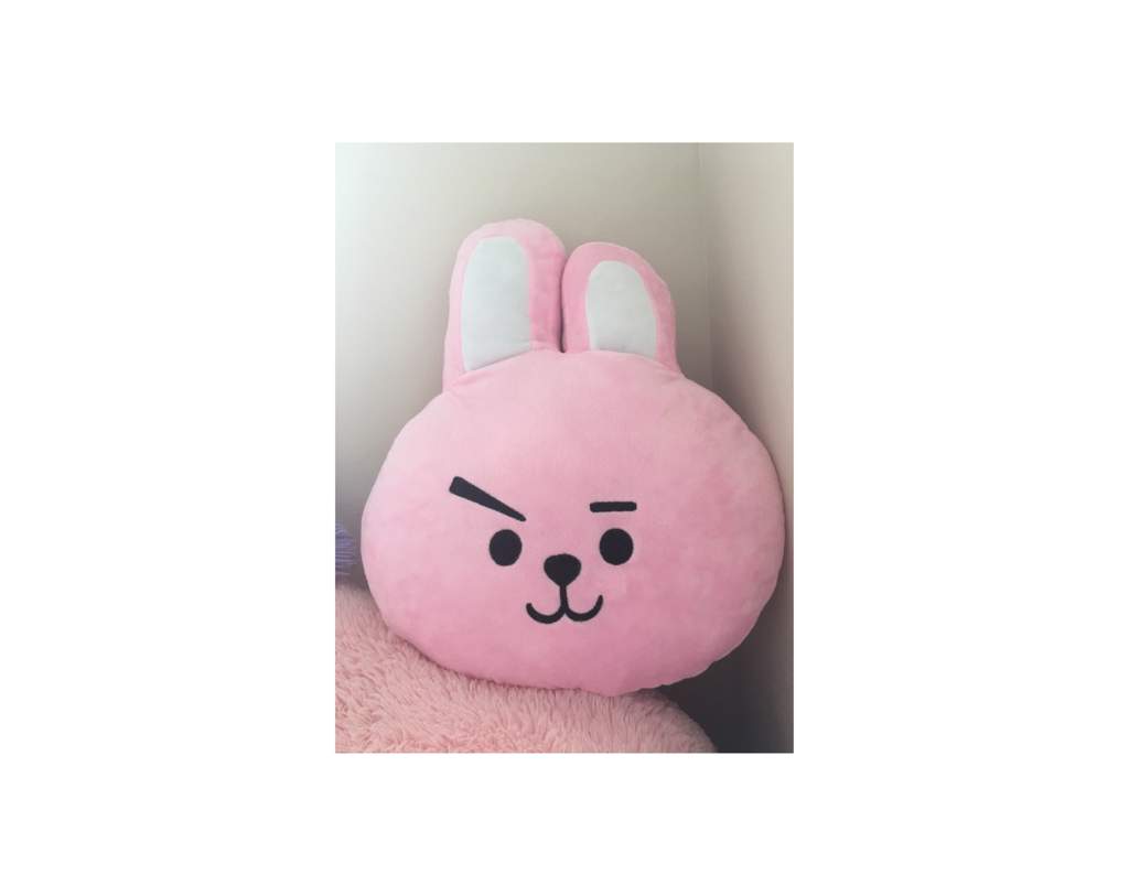 cooky big pillow