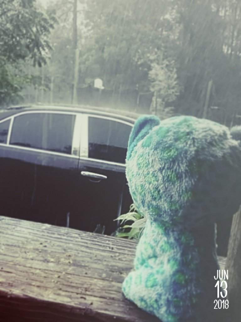 Rainy Days With Leona Beanie Boo Amino Amino - rainy boo roblox