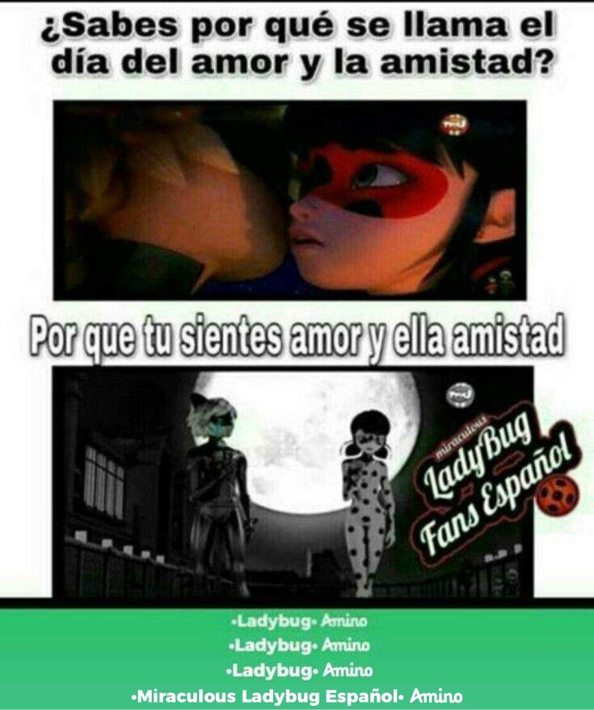 Cual es el meme mas gracioso miraculous ladybug espa ol amino