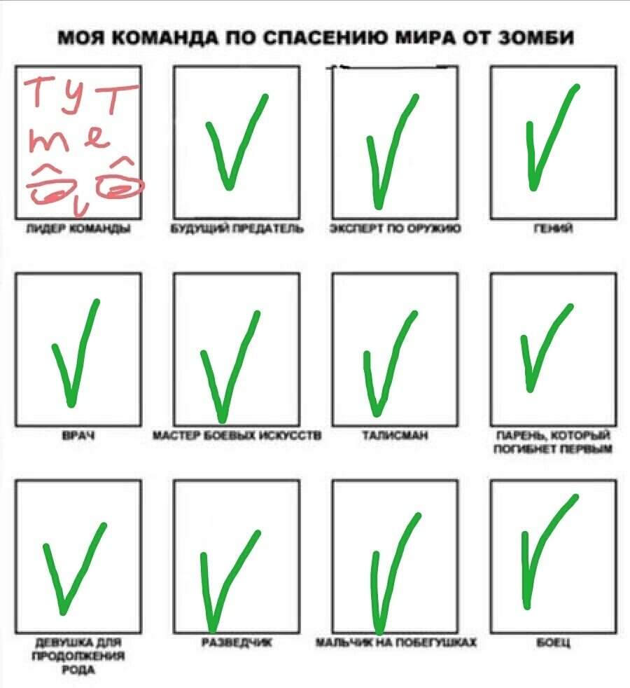 Сначала план по спасению жучки