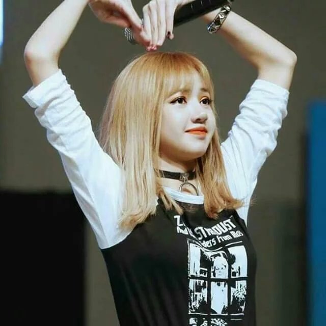 LISA | Wiki | BLINK (블링크) Amino