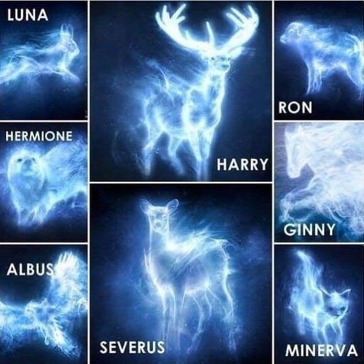 Quelle Est Mon Patronus Harry Potter [Absente] Margaux Granger♥️🦁 | Harry Potter Fr Amino