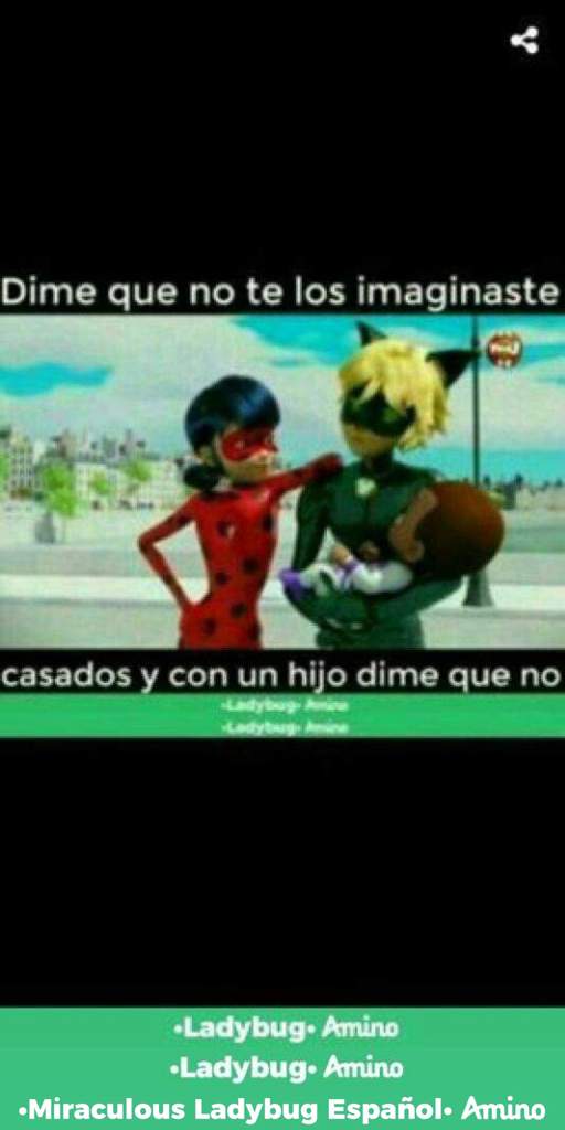 Cual es el meme mas gracioso miraculous ladybug espa ol amino