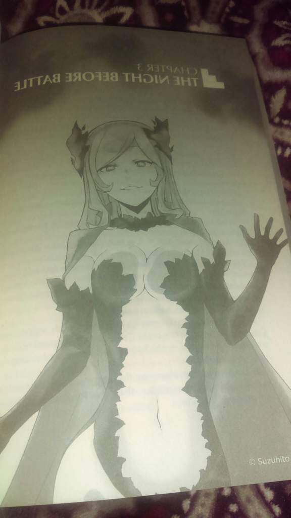 Featured image of post Light Novel Danmachi Volume 16 i had a light dinner before taking a bath