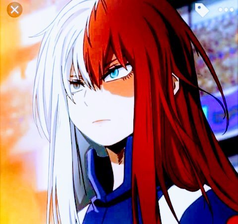 Genderbent Todoroki | My Hero Academia Amino