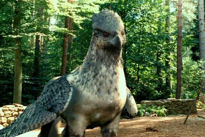 La Historia De Buckbeak | •Harry Potter• Español Amino