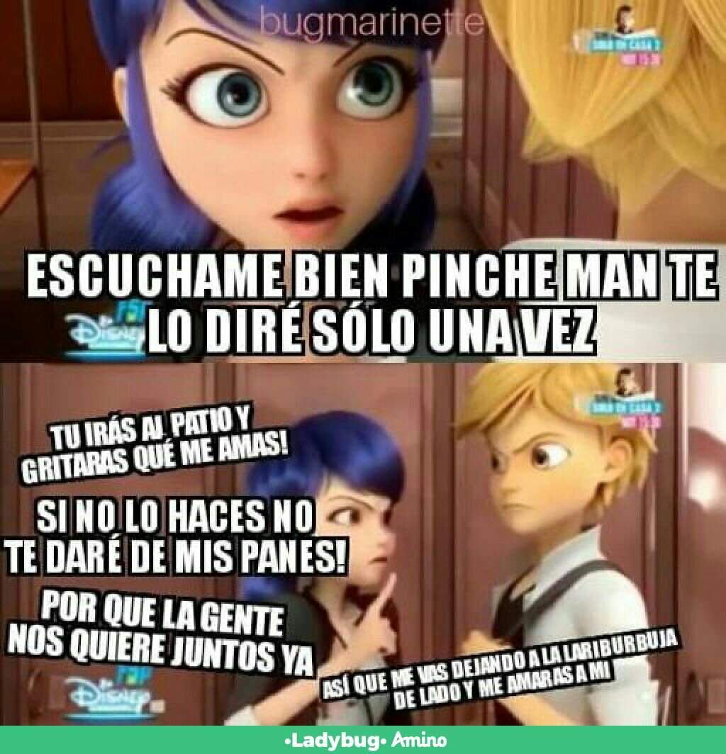 Memes de problemática | •Miraculous Ladybug Español• Amino