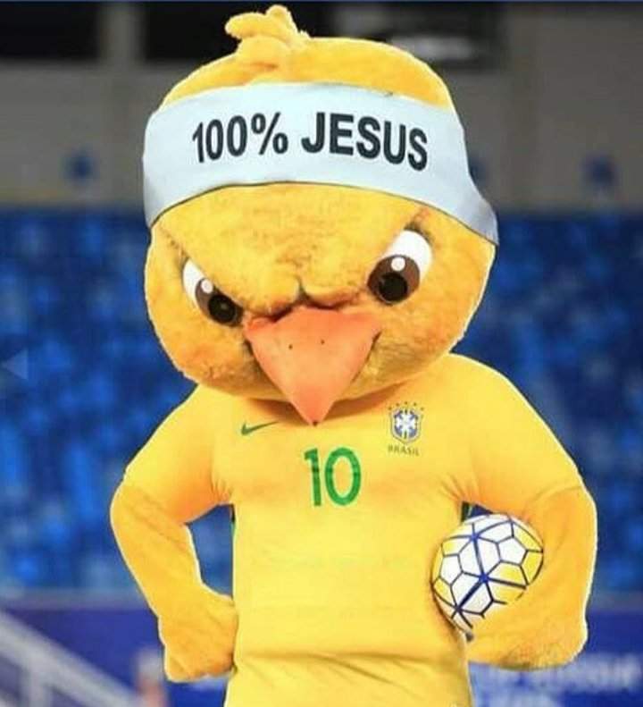 Resultado de imagem para canarinho pistola