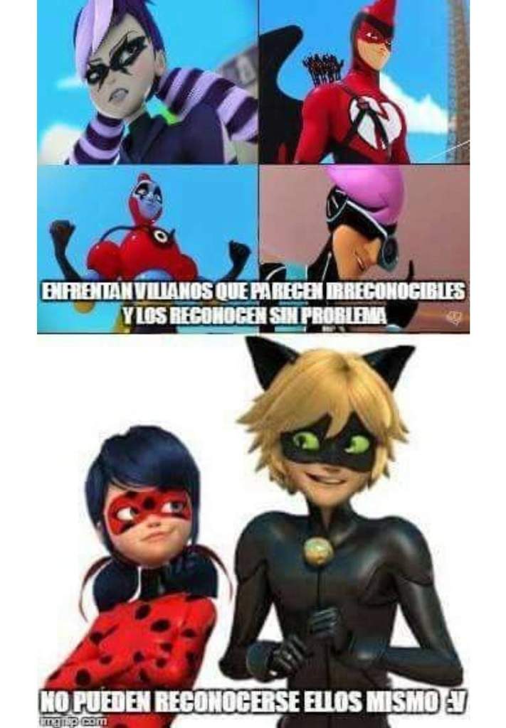 Miraculous Marichat Memes