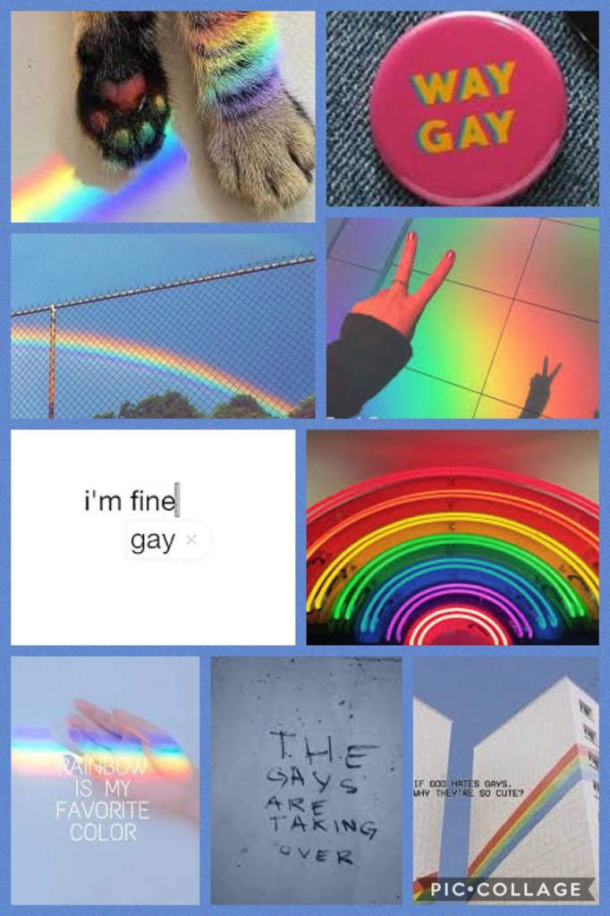 bi gay go here page gay men mannheim