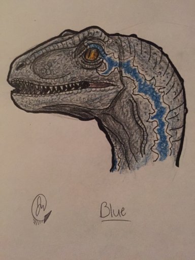 I drew a cute little indoraptor | Dinosaur Lovers Amino