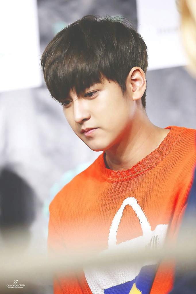 Chanwoo | Wiki | K-POP كيبوب Amino