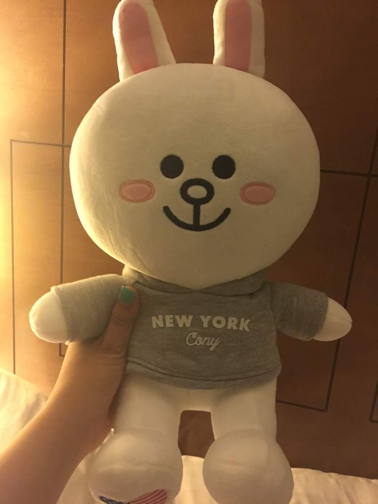 line friends stuffed toy