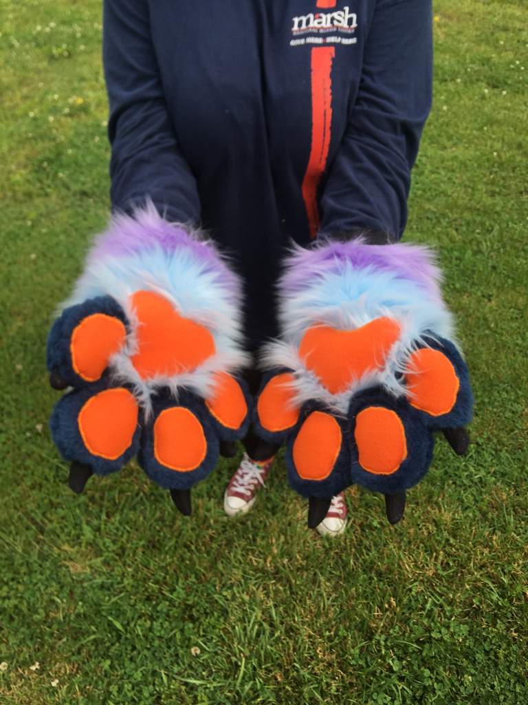 Finished Paw Commission Furr