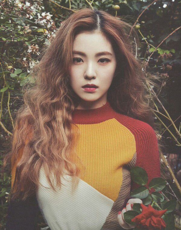 A Guide To Irene | IRENE ♡ (아이린) Amino