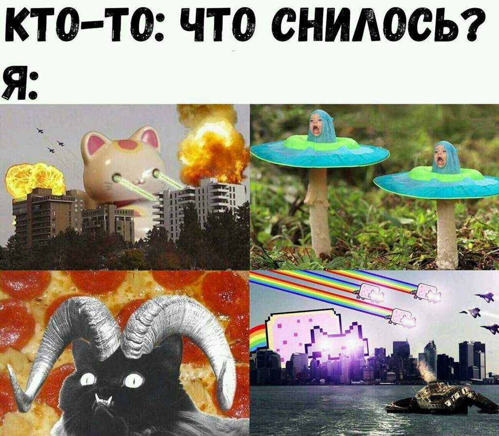 Коротко о том что мне снится