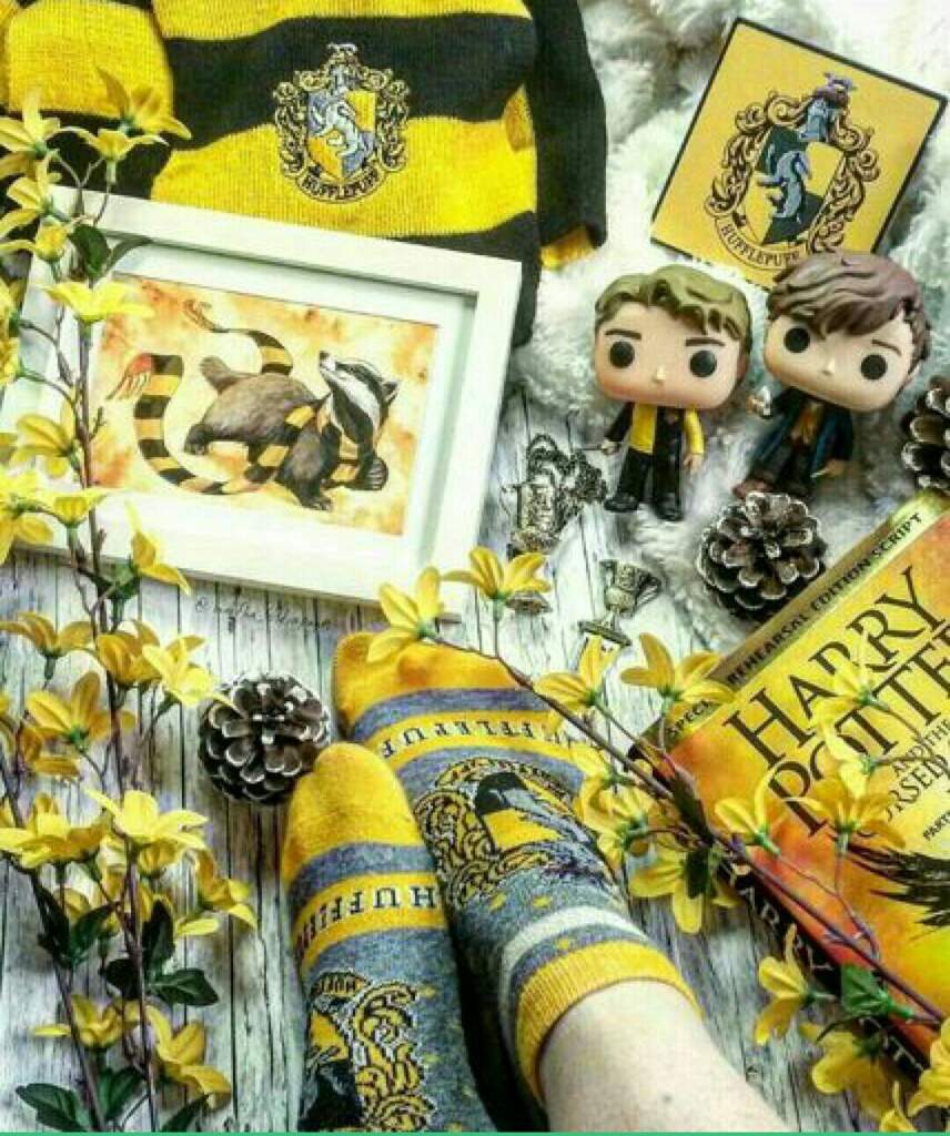 Todo sobre Hufflepuff Hogwarts World Amino