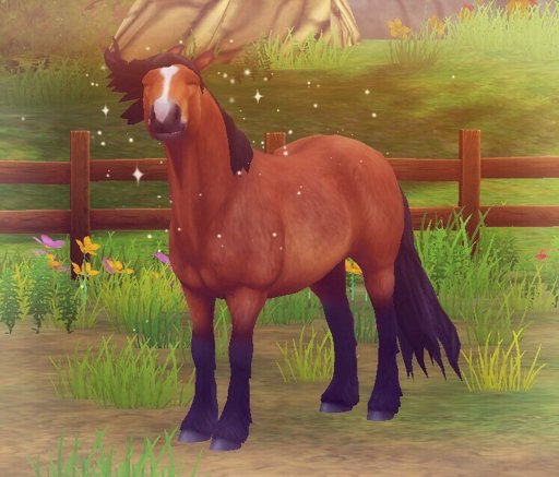 Spirit #SSO | Star Stable Online Amino