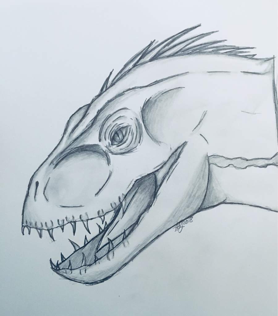 Indoraptor Sketch Jurassic Park Amino