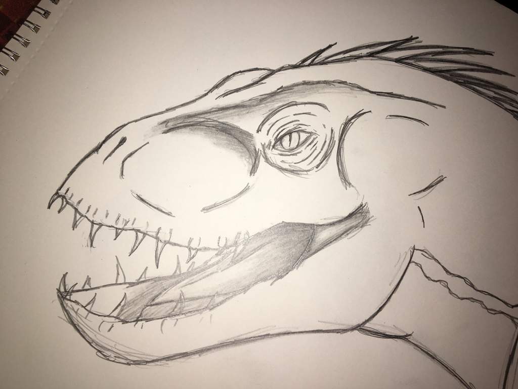 ..Indoraptor Sketch.. | Jurassic Park Amino