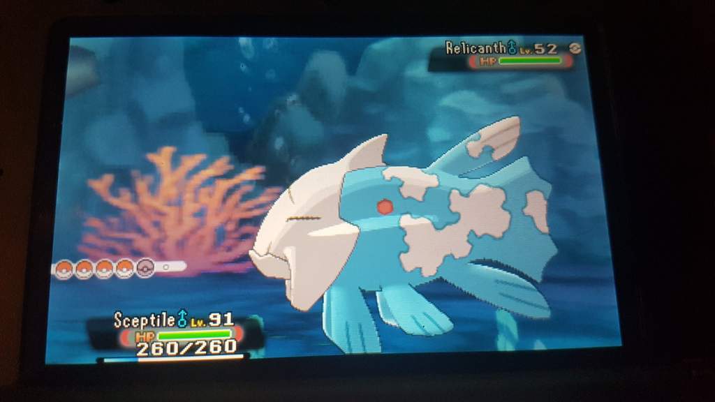 Shiny Relicanth Shiny Pokemon Amino Amino