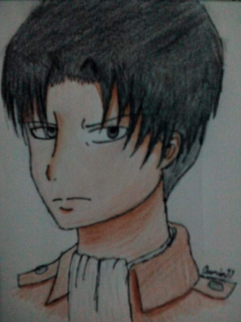 Levi Ackerman Fanart Attack On Titan Amino