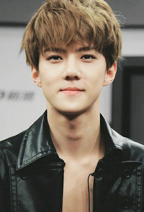 ;;Sehun | Wiki | •Ulzzang Amino• Amino