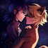 amino-Ladybug y Chat Noir-0a327ebd