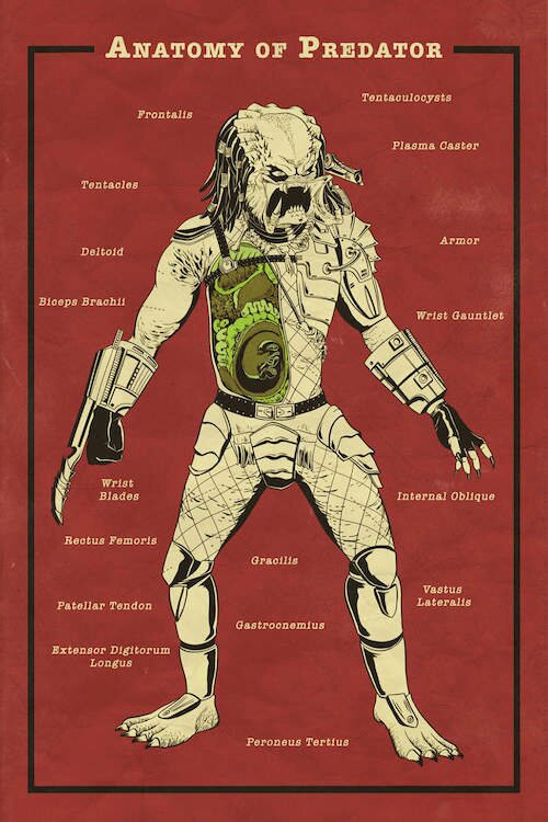 Monster's Anatomy 4 Predator Monster Facts Amino