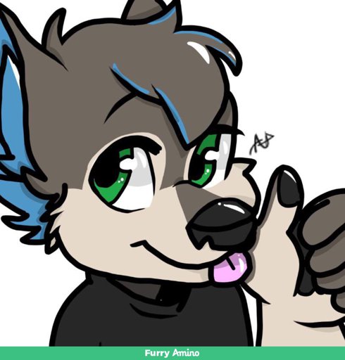 Scruff | Wiki | Furry Amino