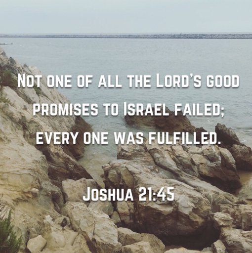 Verse of the Day ~ Joshua 21:45 | Christian (Genesis) Amino